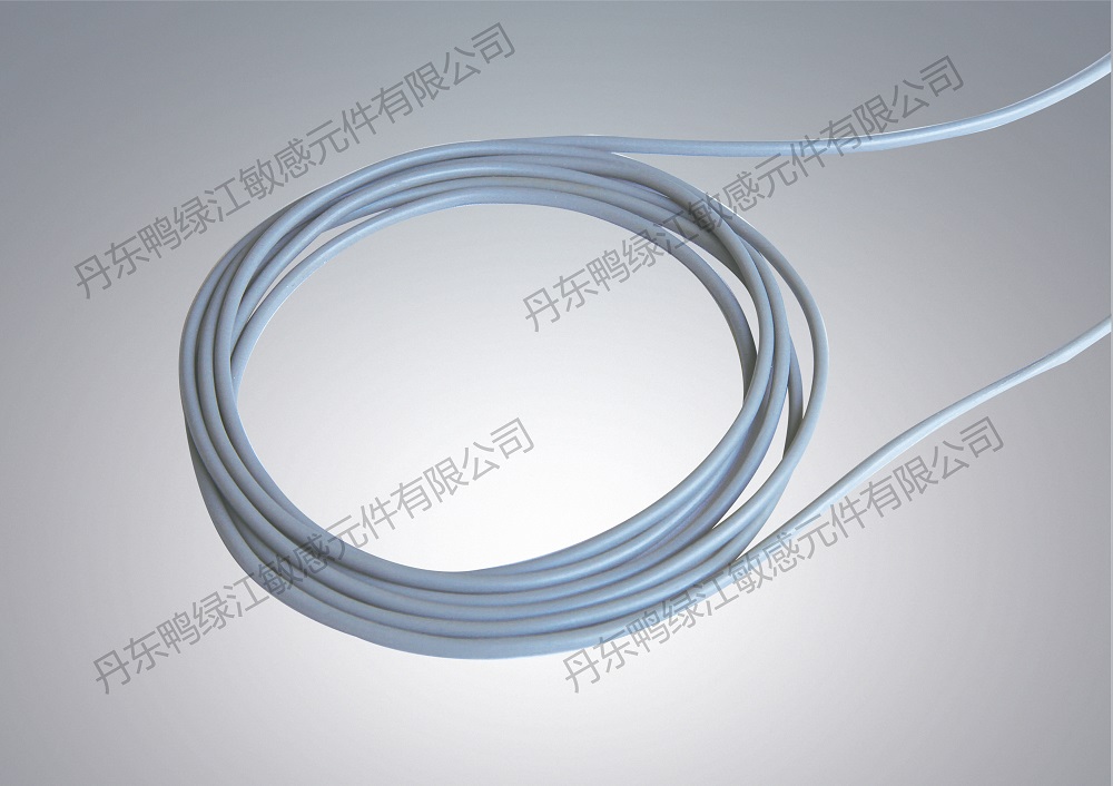 鴨綠江敏感元件---新產(chǎn)品照片.jpg 鴨綠江敏感元件---新產(chǎn)品照片.jpg